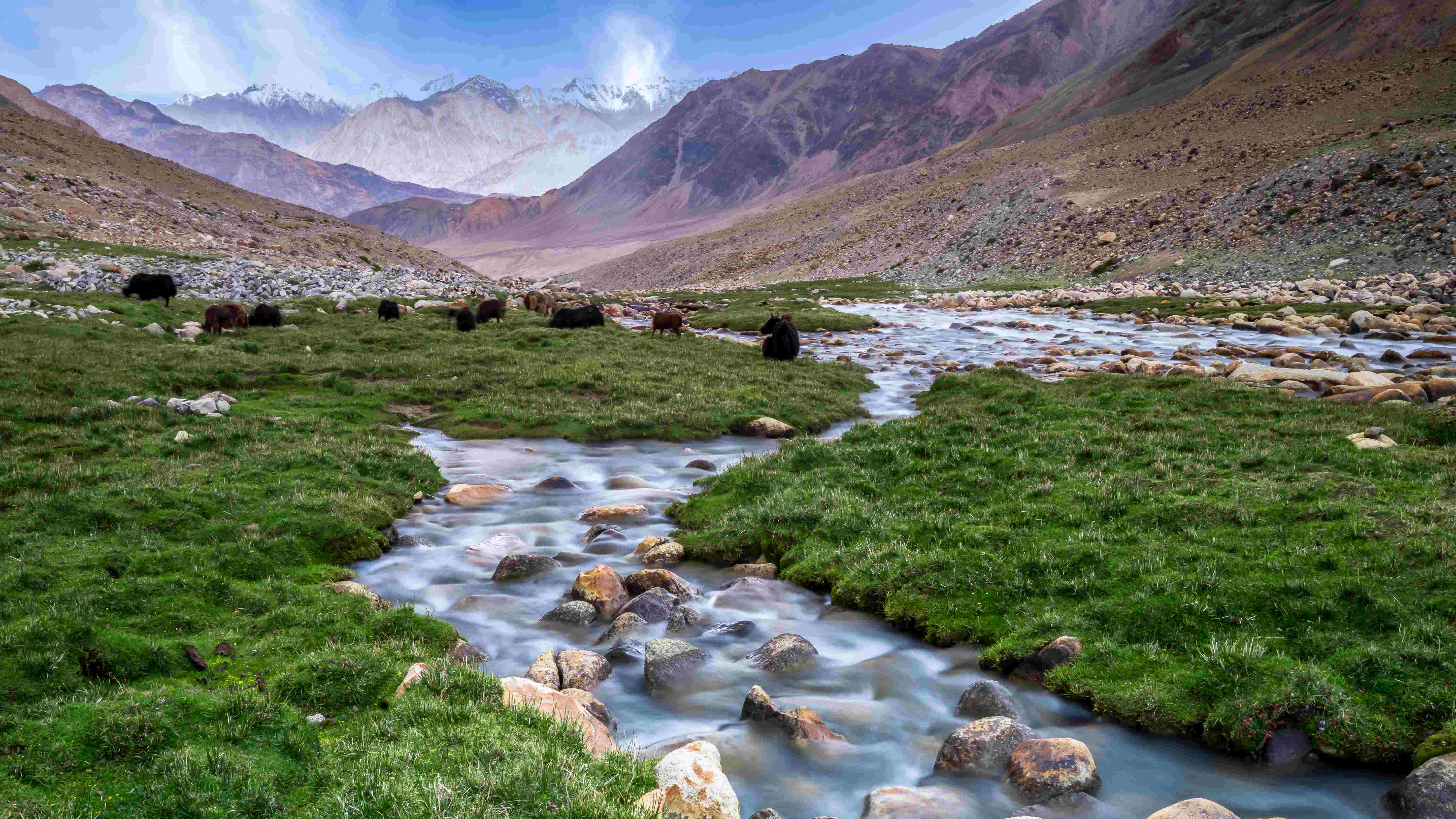 10 Breathtaking Valleys in India for Nature Lovers